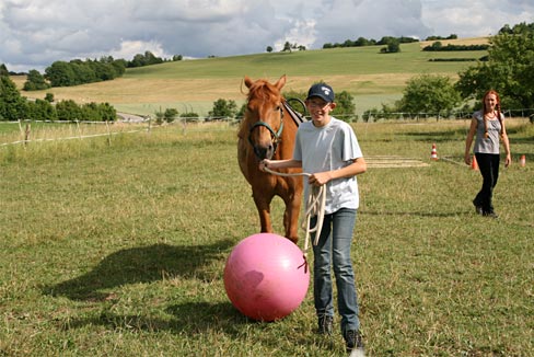 Therapiepferd Kalle Reittherapie Saar Pfalz